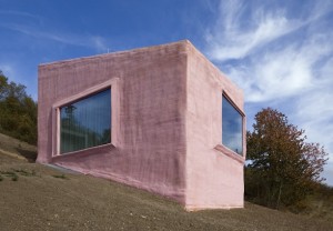 The Pink House